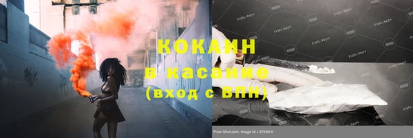 трава Богданович