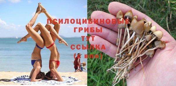 гашик Богородицк