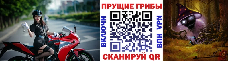 где продают   Козловка  Псилоцибиновые грибы прущие грибы 